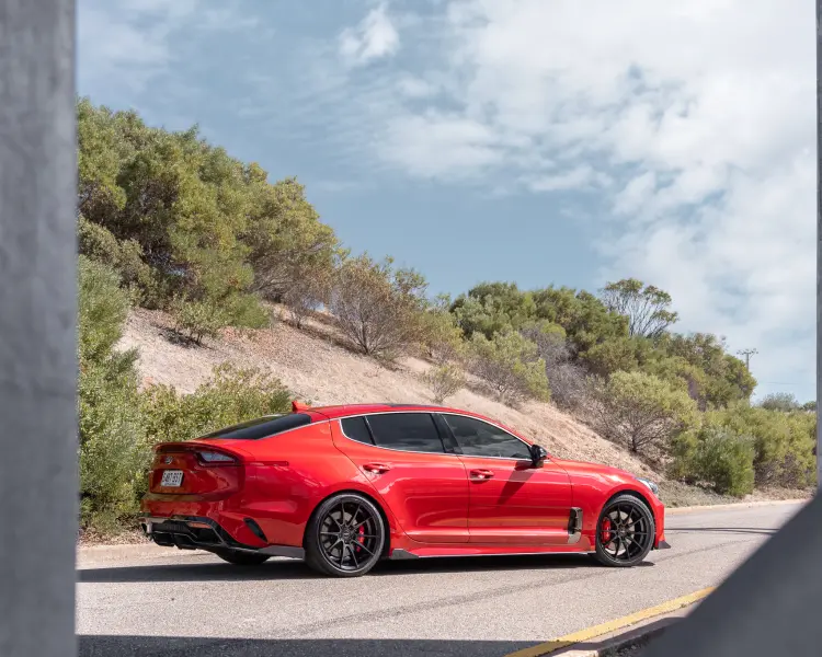 Stinger | Pursuit
