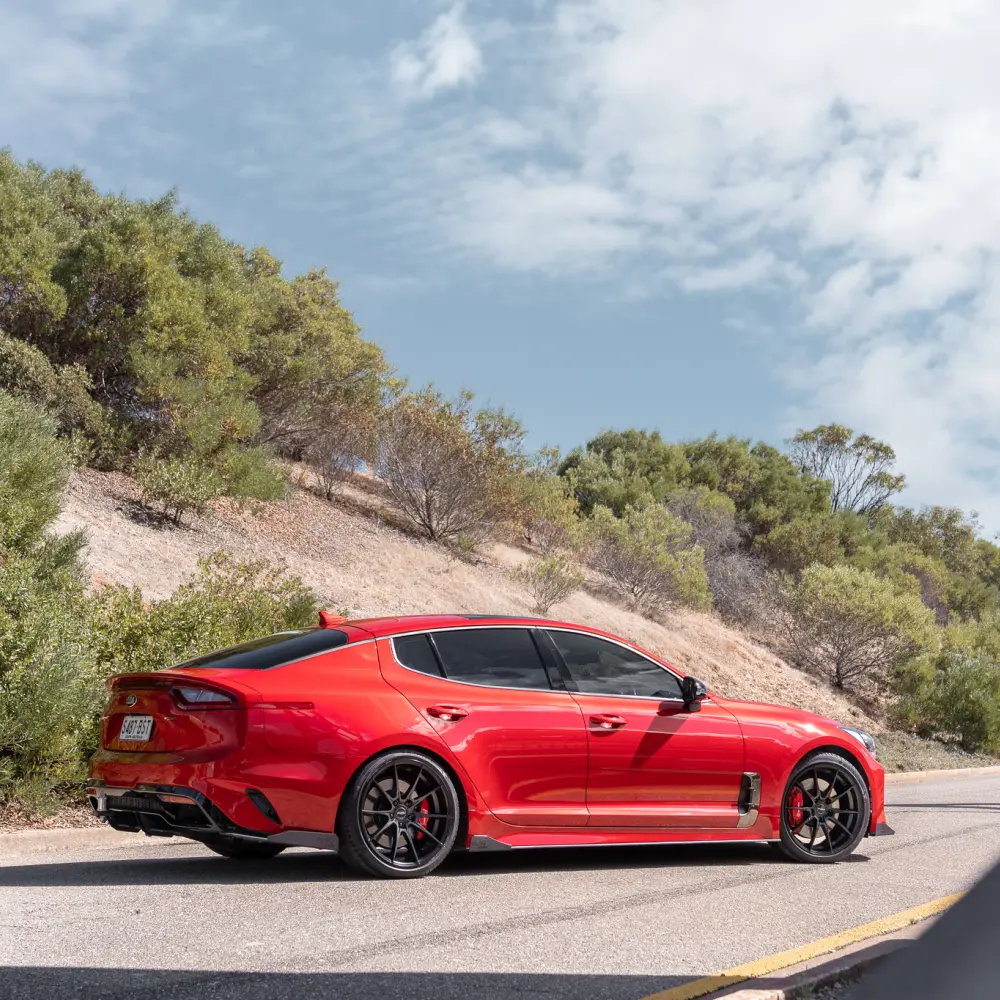 Stinger | Pursuit