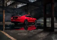 Mustang - RF4