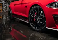 Mustang - RF4