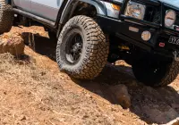 79 Series Landcruiser - Hammer