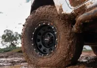 Triton - Trak D Locker