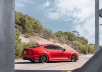 Stinger - Pursuit
