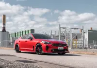 Stinger - Pursuit