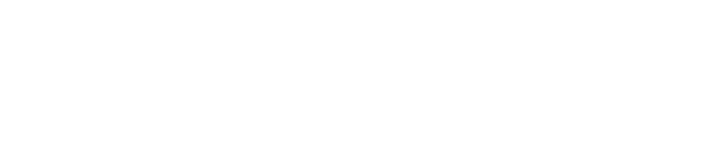 LOGO-LITEFORGED-WHITE
