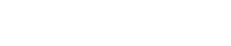 LOGO-LITEFORGED-WHITE